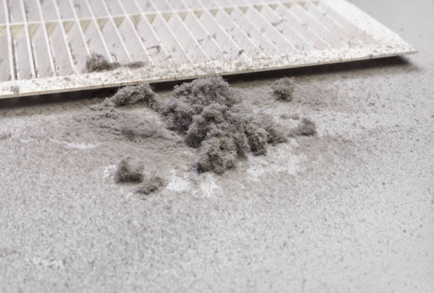 Best Air Duct Cleaning Near Me  in Hutto, TX