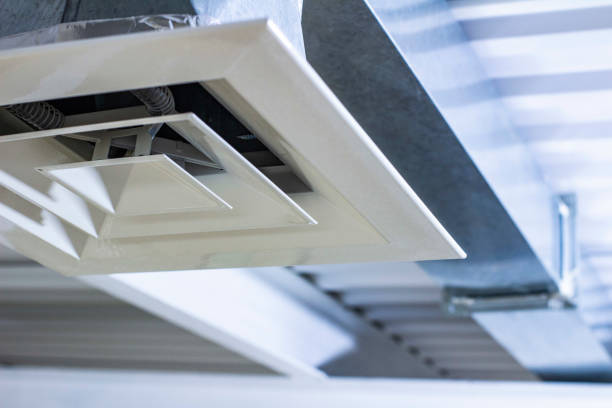Best Professional Duct Cleaning Services  in Hutto, TX