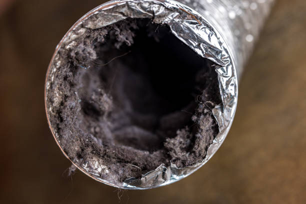Best Affordable Duct Cleaning Services  in Hutto, TX